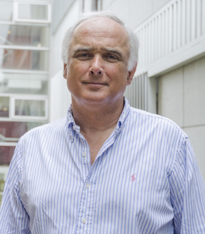 Dr. MARTÍN RISSO FERRAND